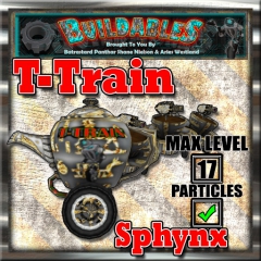 1_Display-crate-T-Train-Sphynx
